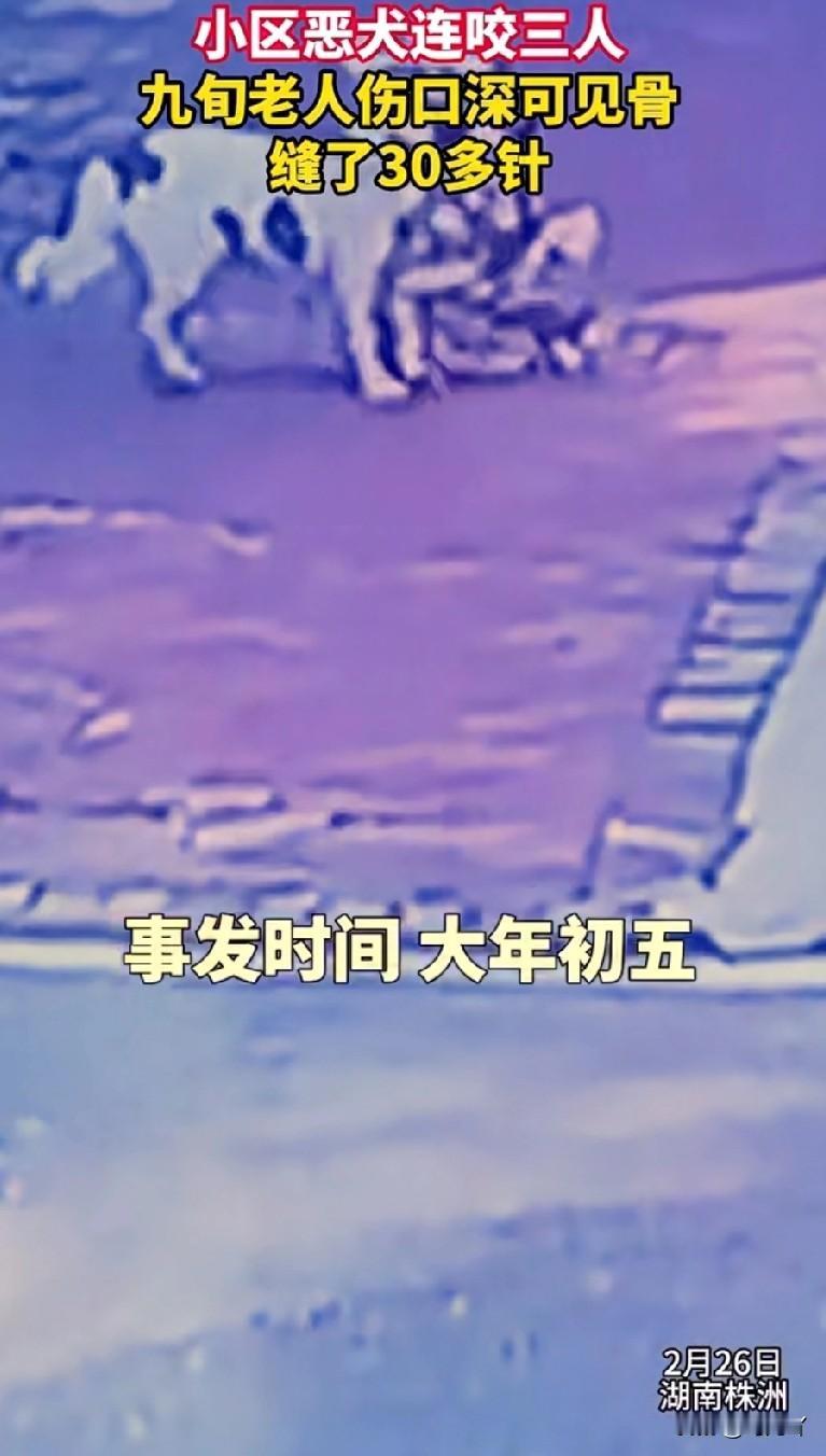 总算看出来了，恶狗伤人事件永远禁止不了，而且只会越来越多！新出台的《治安管理处罚