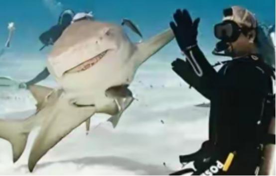 1996年，一位女性潜水者在潜水时，看到一只鲨鱼的牙上挂着一根大钩子，便帮助它把