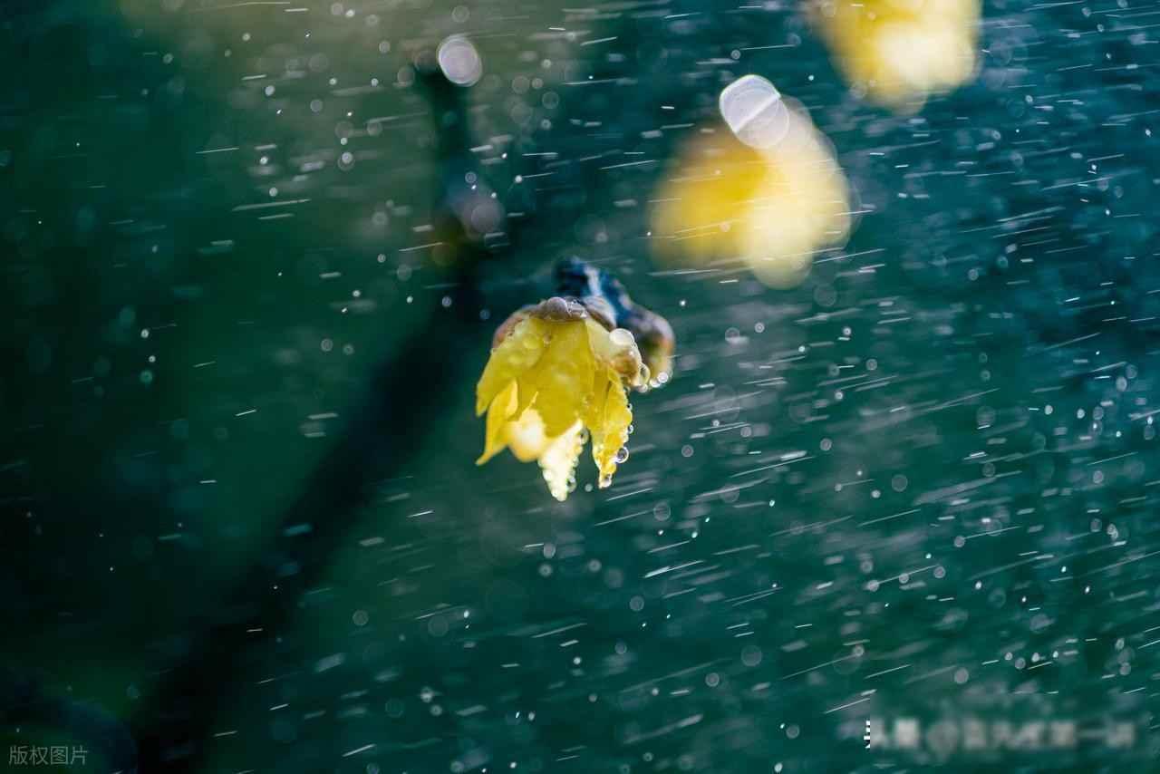 梅雨突袭，暴雨猛VS高温灼？农民最怕的天气来了
今天刚入梅，天就阴了下来，窗外雨