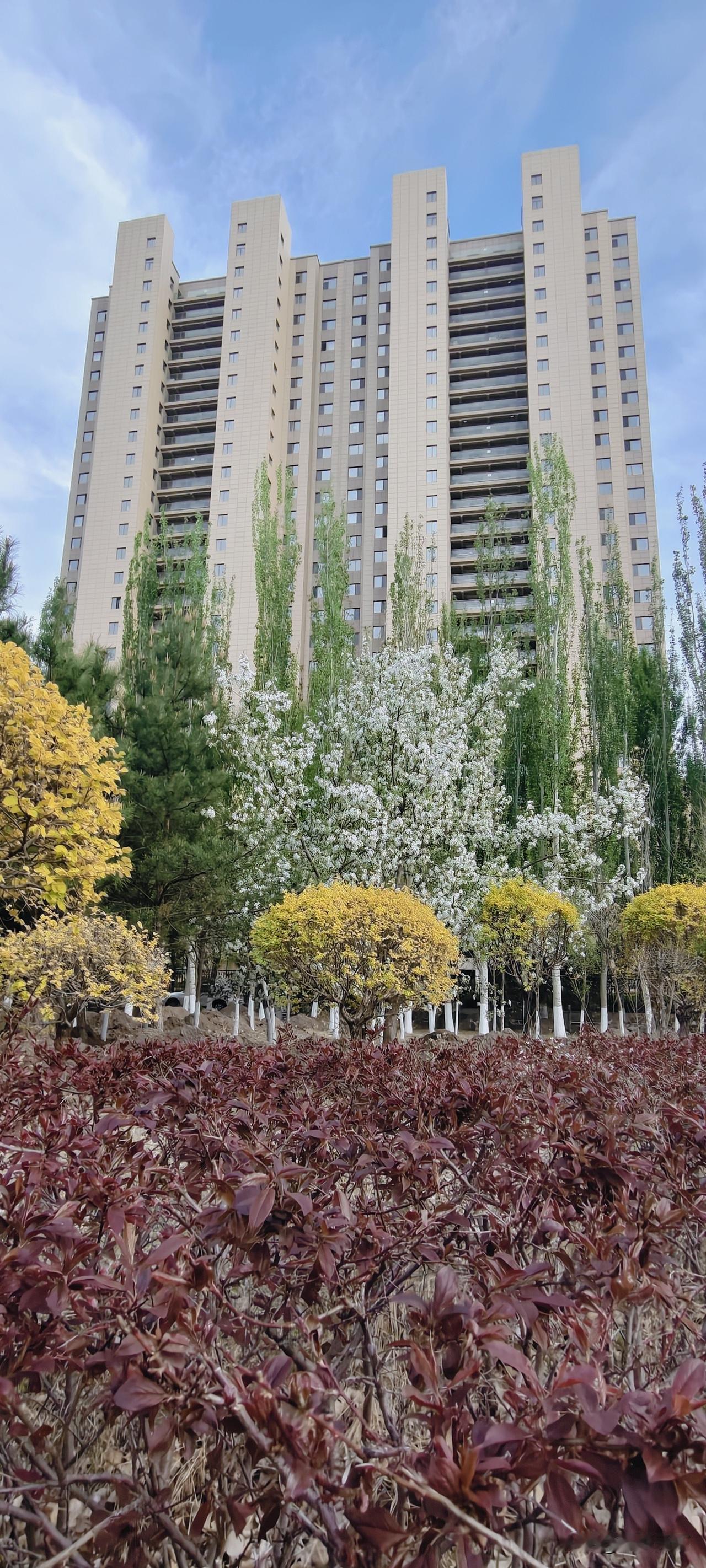 2026财经政法新规密集落地！普通人一定要读懂这几点

社保、征信、房贷、执行、