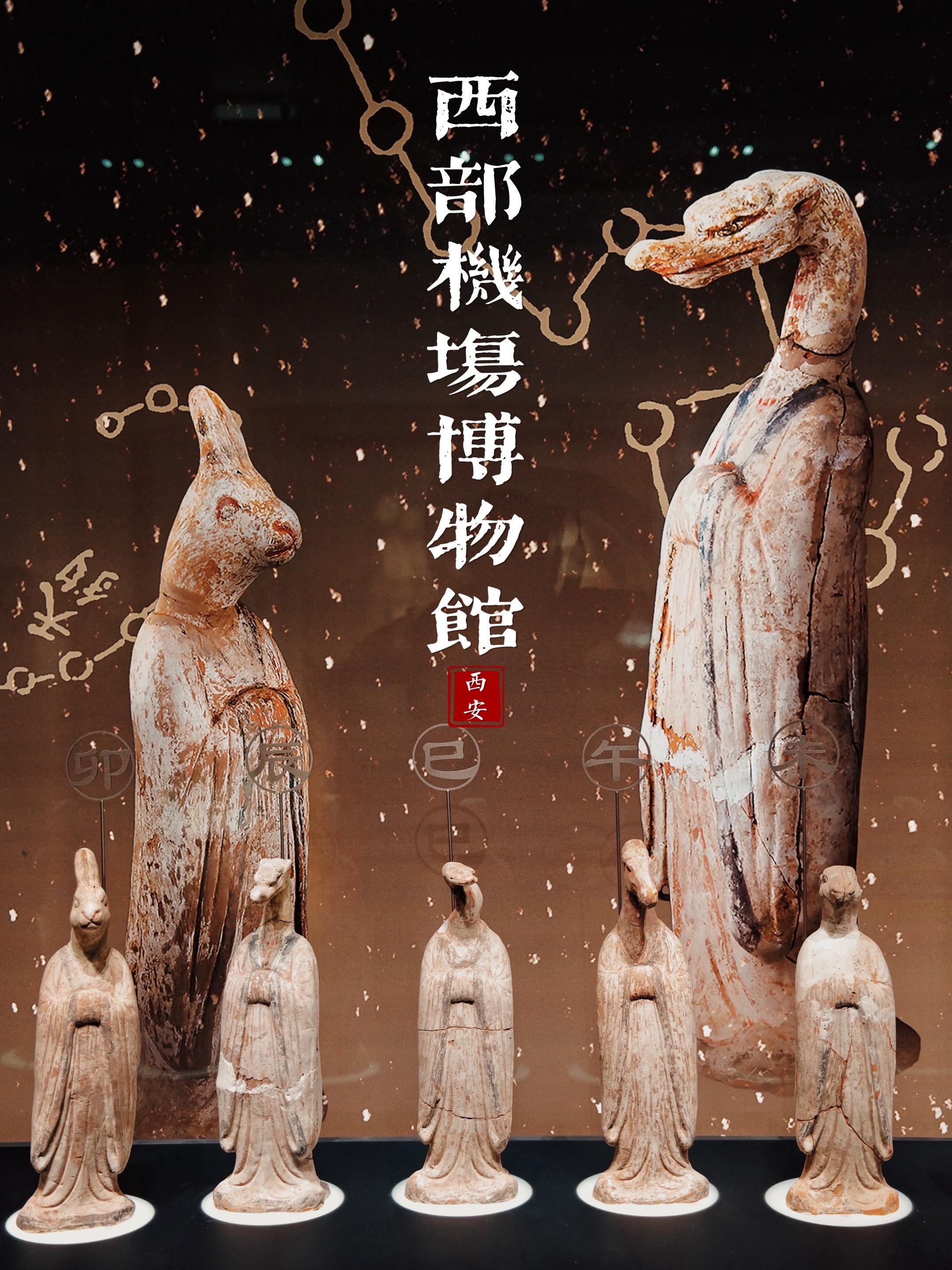 机场秒变考古现场 西安太全面了  去咸阳机场转机，我本以为将近五个小时...