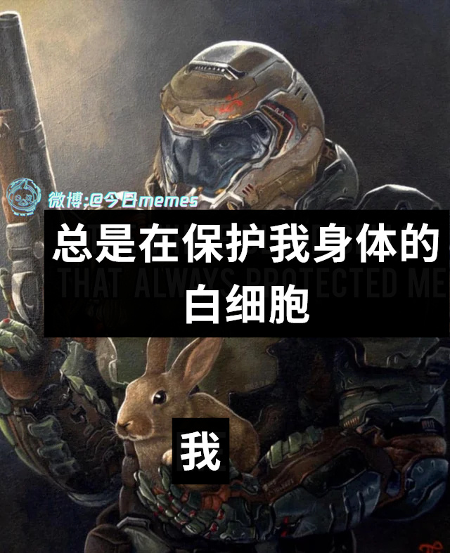 想摸钉子（9gag）今日meme今日memes