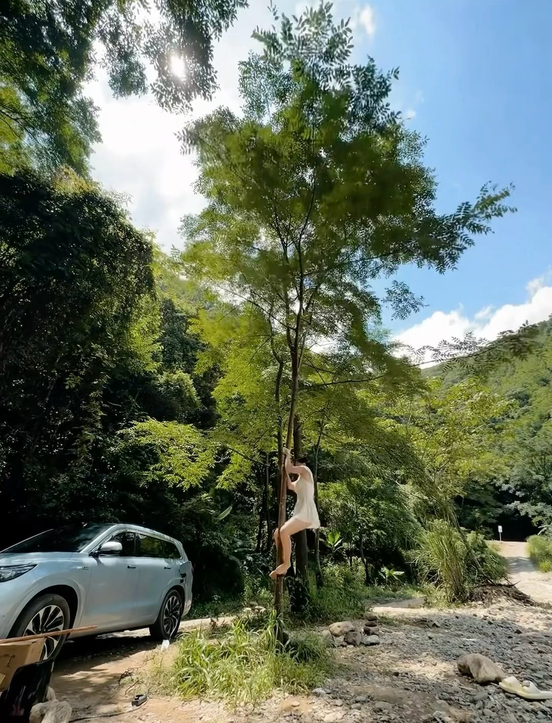 会上树的女司机