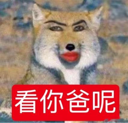 隐访我的 不知道你现在天天看我定时发的续航计划养胃没 ​​​