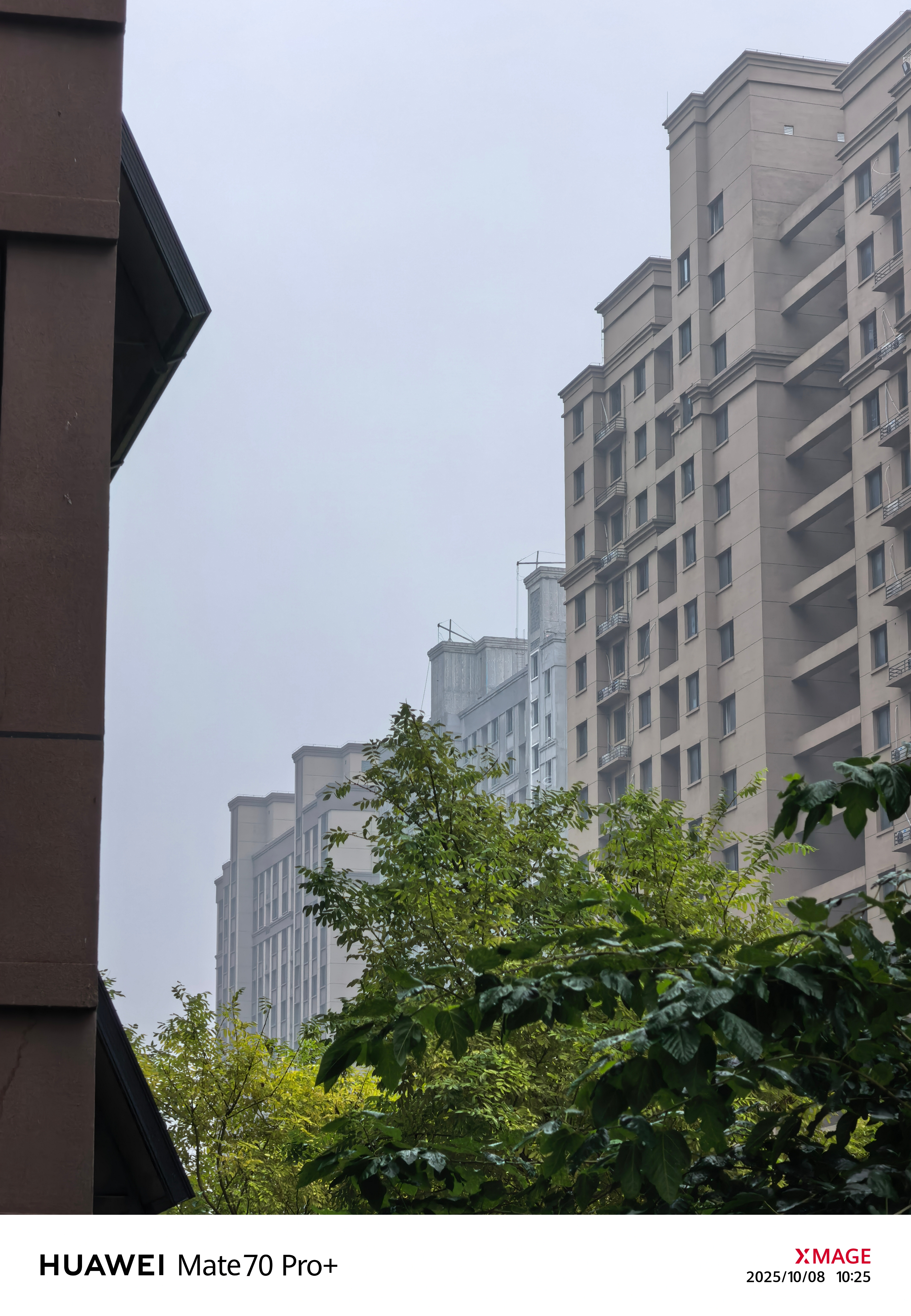 一觉醒来寒露来了，再加上这场雨，是真的冷了[允悲]。从昨天开始，我们一家三口就在