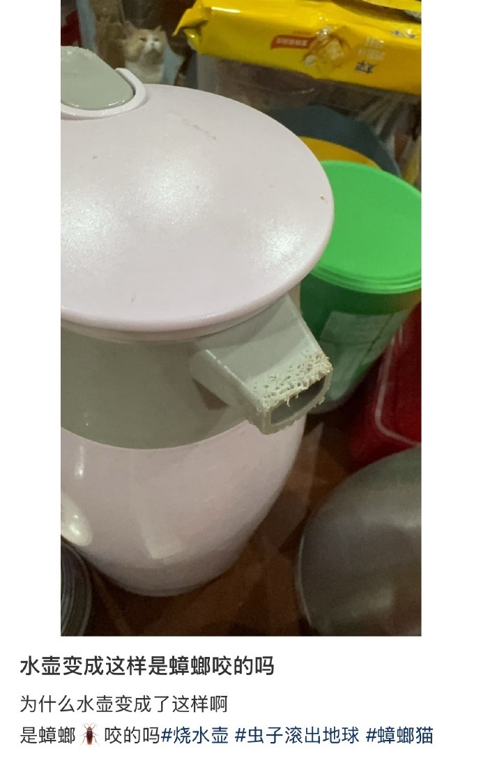 水壶变成这样是蟑螂咬的吗 ​ ​​​