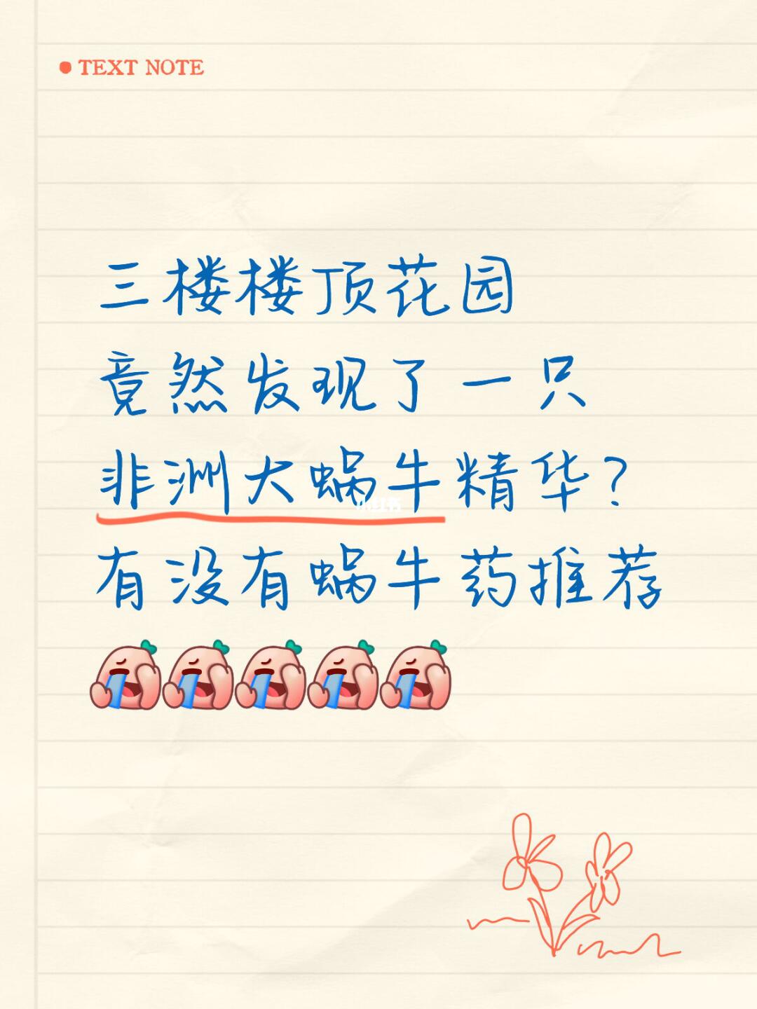 非洲大蜗牛是怎么跑到楼顶的？