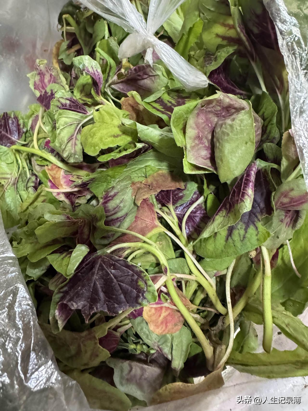这是亲家从老家快递到北京的蔬菜，在超市见过这样的蔬菜，我没有买过，也不知道怎么做