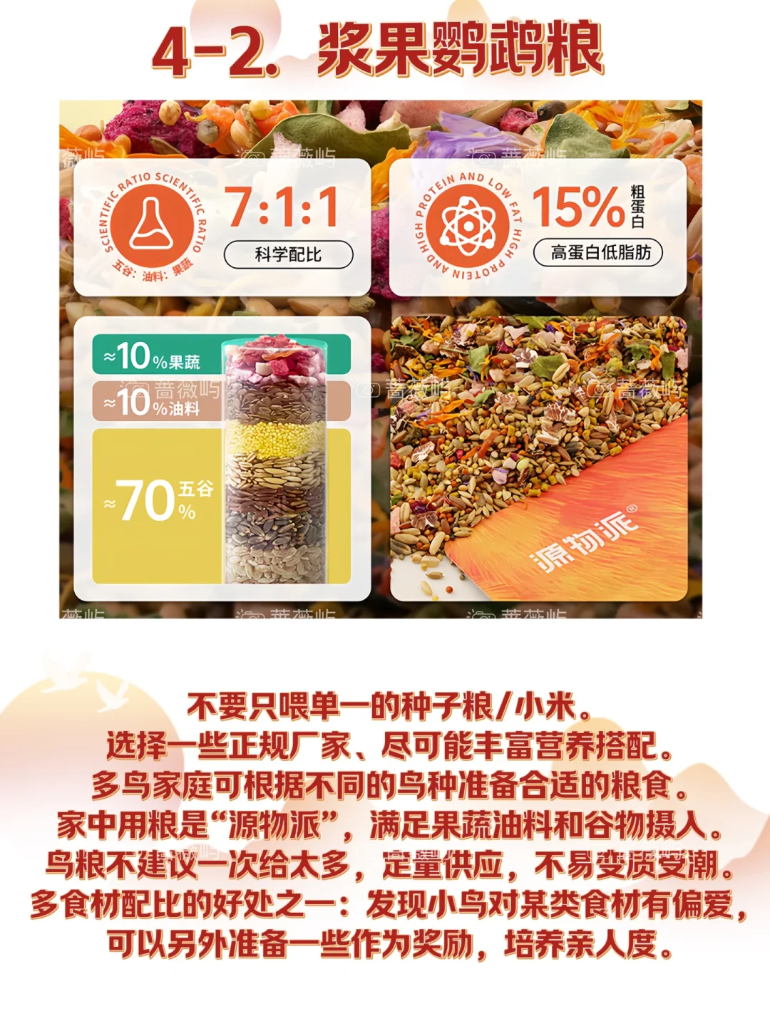 新手养小鹦鹉攻略～