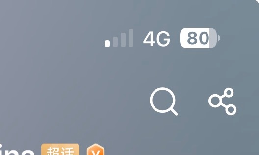我手机信号可差了，上网可费劲了 