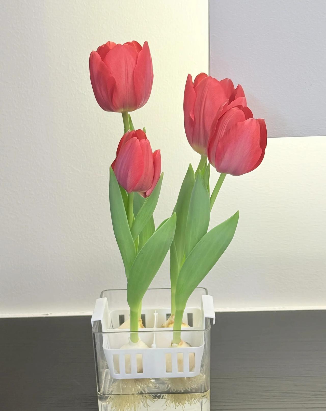 现在都不喜欢网上聊天了
为什么呢？
可能失业这一年多朋友联系的少了，
没什么事情