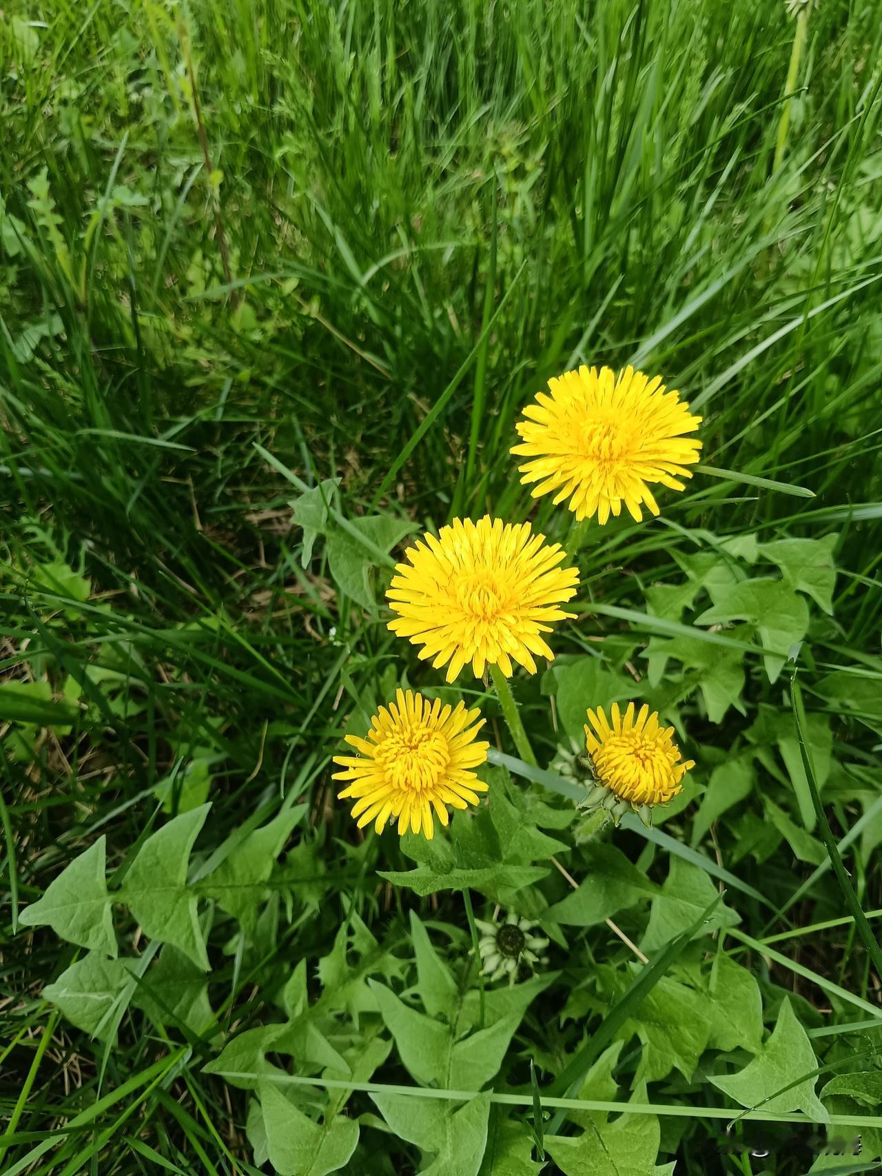 人生，是一场温柔的前行
岁月是无声的行者，推着我们在时光的长河里缓缓前行，不曾停