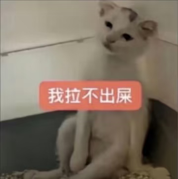 五个号的互五都没养。。。好累。十二点前能养完吗。 ​​​