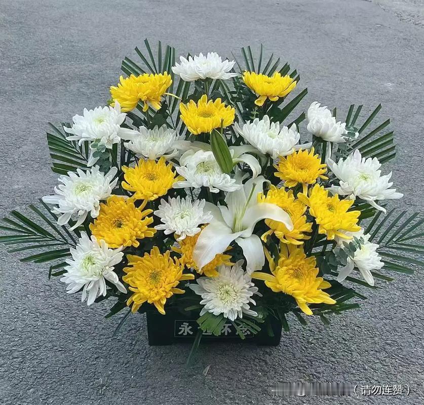 今天，是南京大屠杀死难者国家公祭日。88年前，山河破碎，生灵涂炭，30多万无辜同