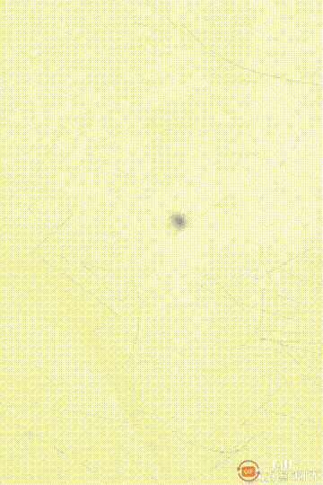 为什么最近老是能看到赵丽颖这张哭丧着的脸？
蓬头垢面，满脸泪痕，她到底经历了什么