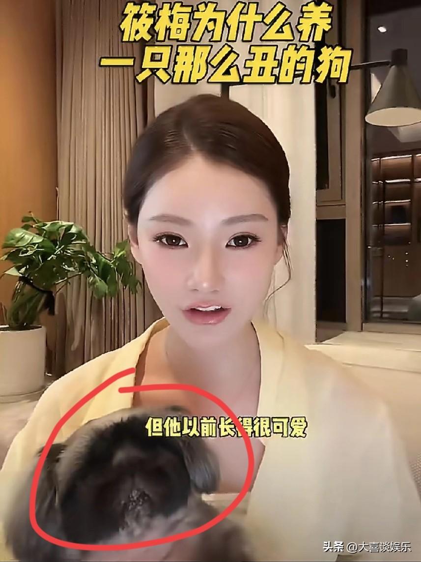 太搞笑了！汪小菲嫌弃菲宝丑，气的菲宝躲在衣柜不出来，也不搭理汪小菲。

听马筱梅