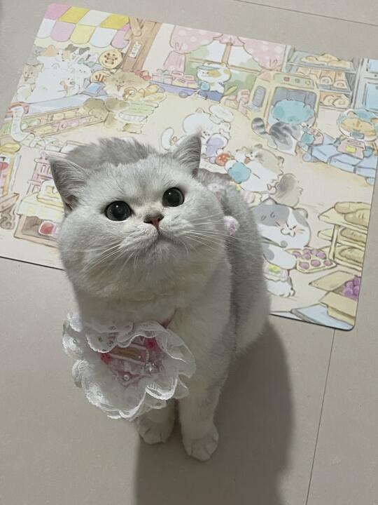 你回来啦！