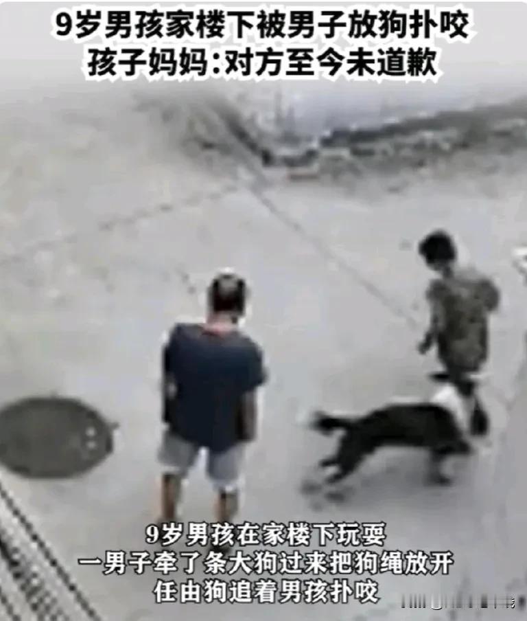 #禁养烈性犬,你赞同还是反对?#近来猛犬伤人事件不断，尤其是对小孩的攻击伤害事件