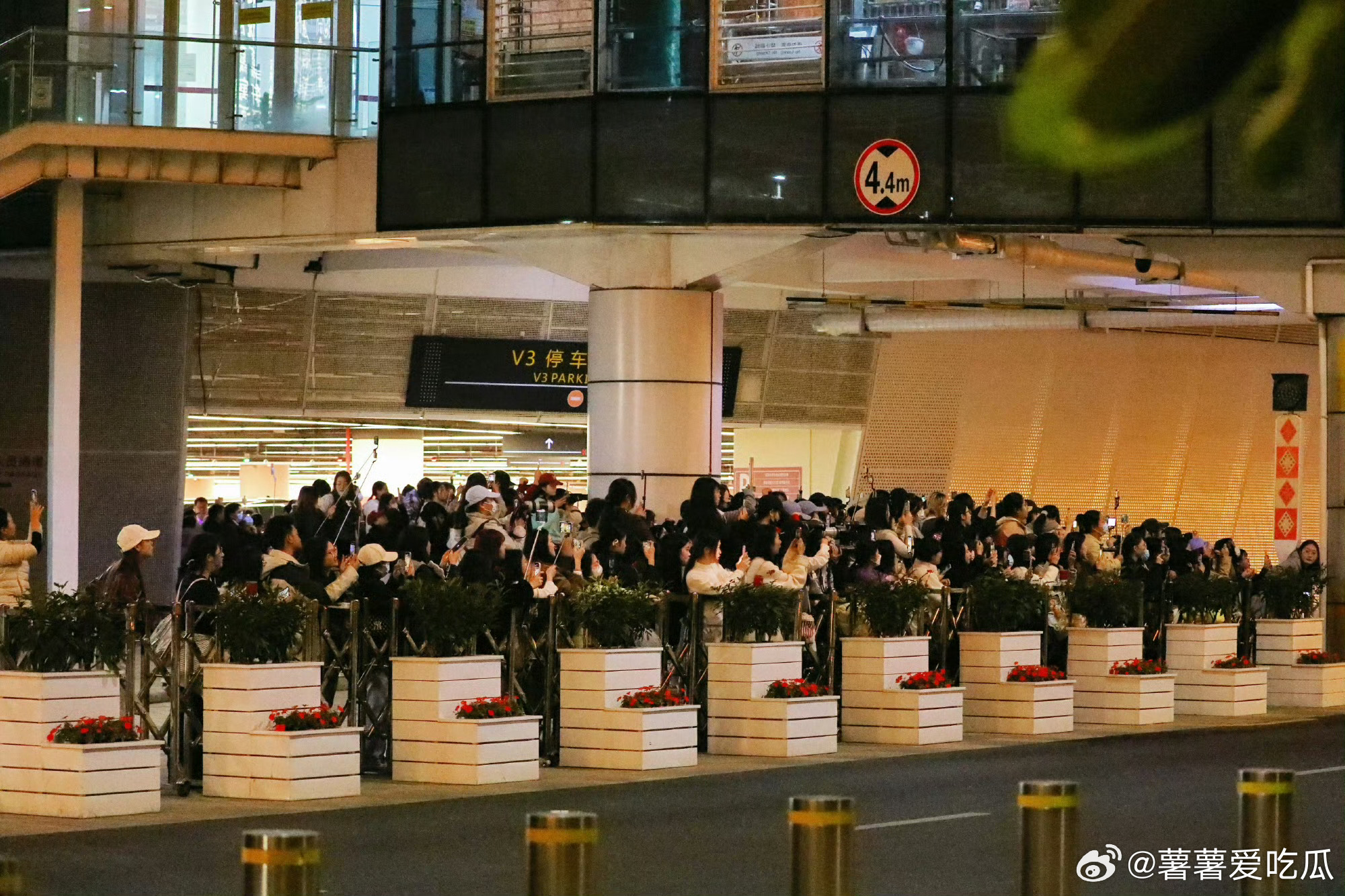 杨幂 见面会原来只是接机吗…… 