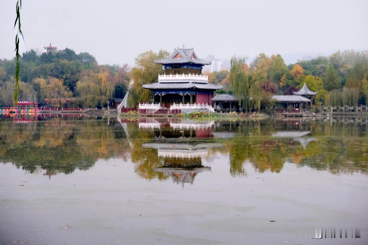 小雪时节，宝鸡人民公园湖中美景！