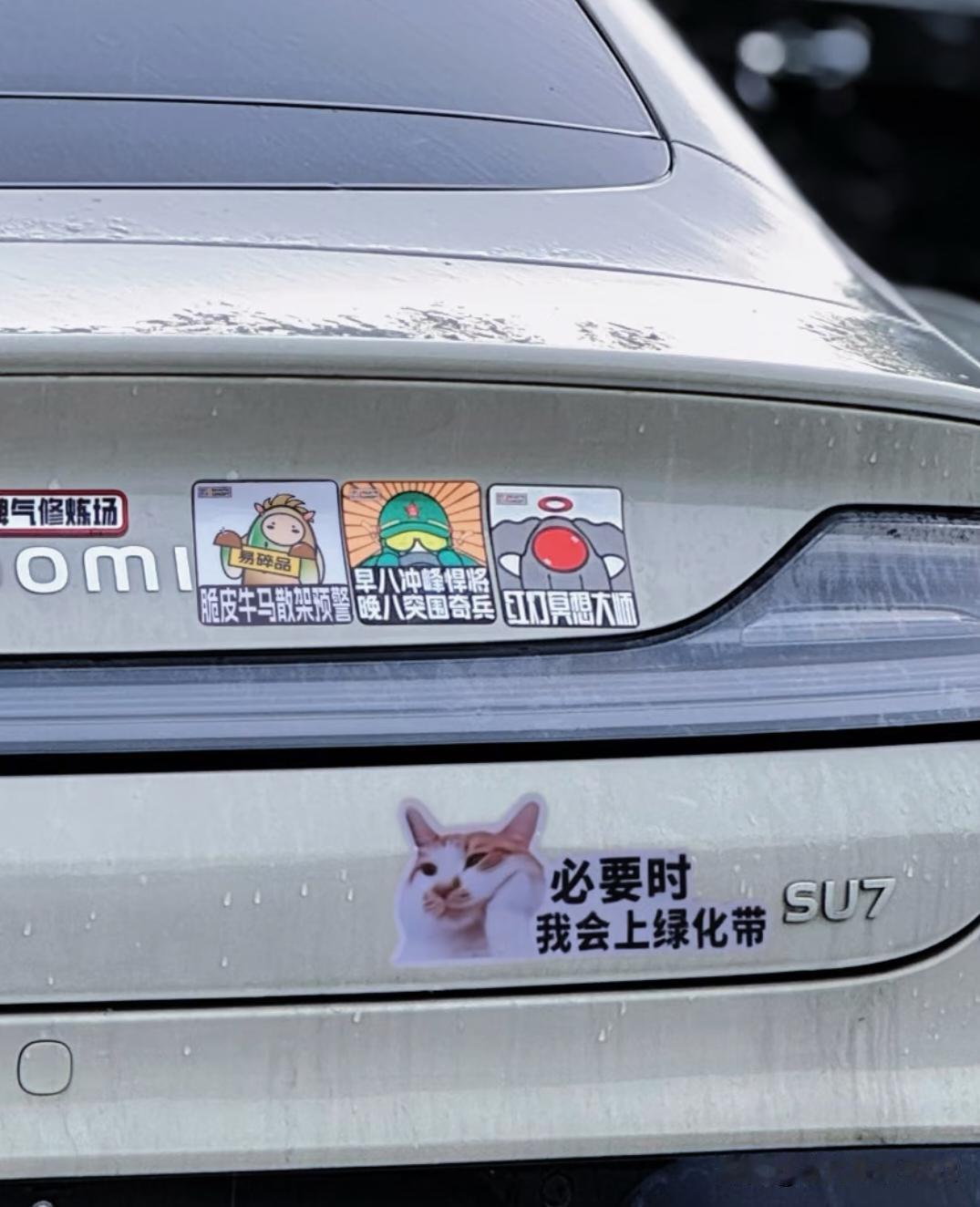 上不上绿化带，跟司机技术有关，而崴不崴脚则跟新能源车子底盘构架胜料和车重有关