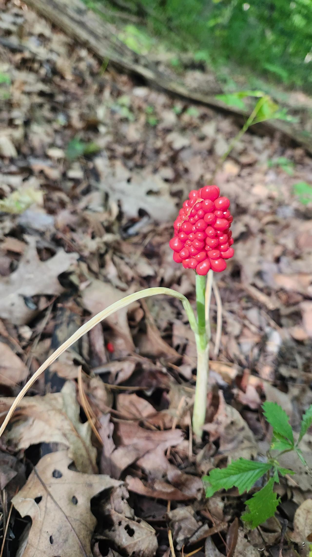 秋日生活打卡季