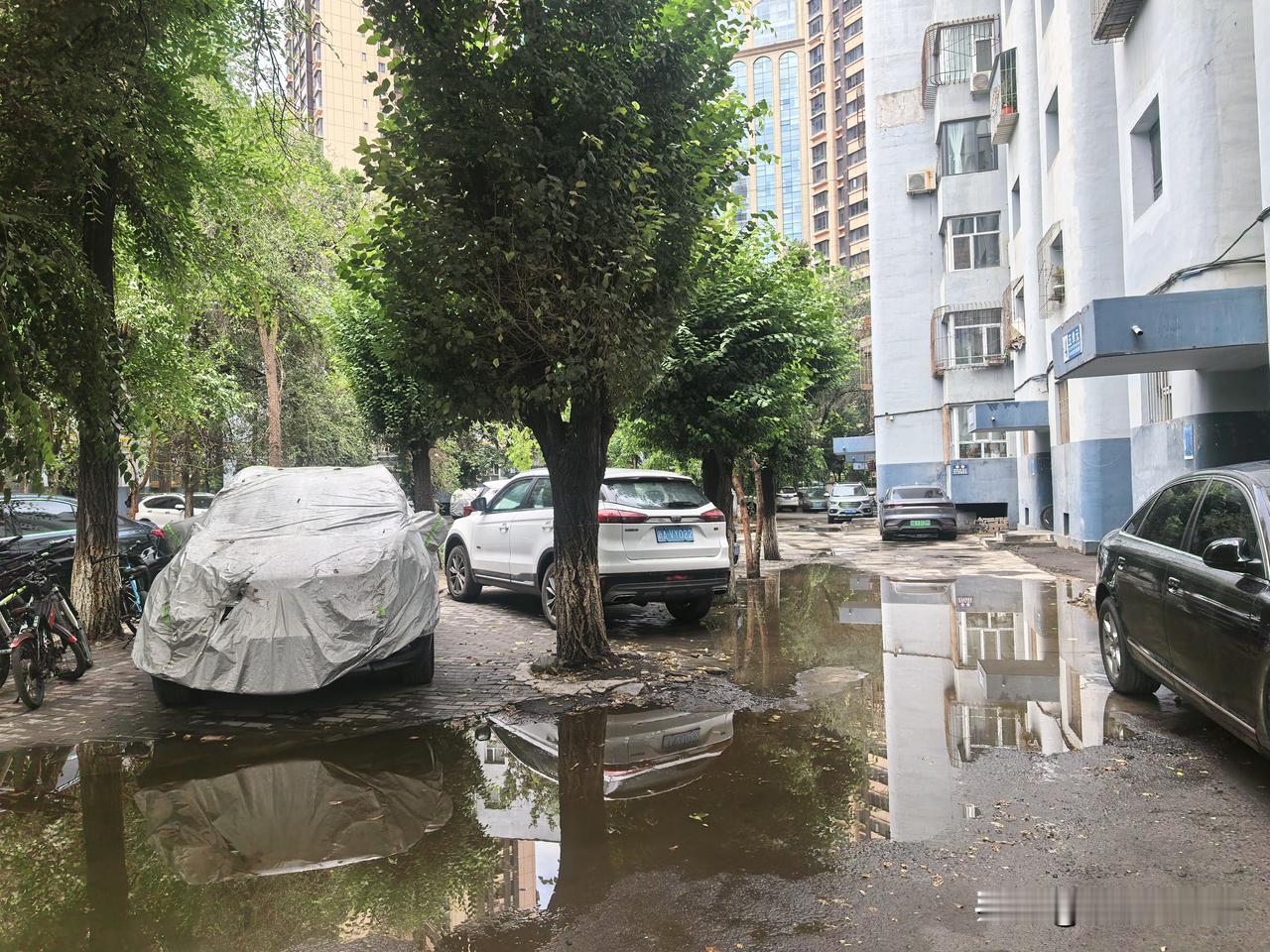 如今乌鲁木齐很多小区都成立了业委会，我们是老旧小区今年6月也成立了业委会~参与业