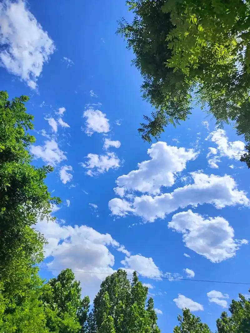 上联：昨夜狂风暴雨；
下联：今晨蓝天白云。