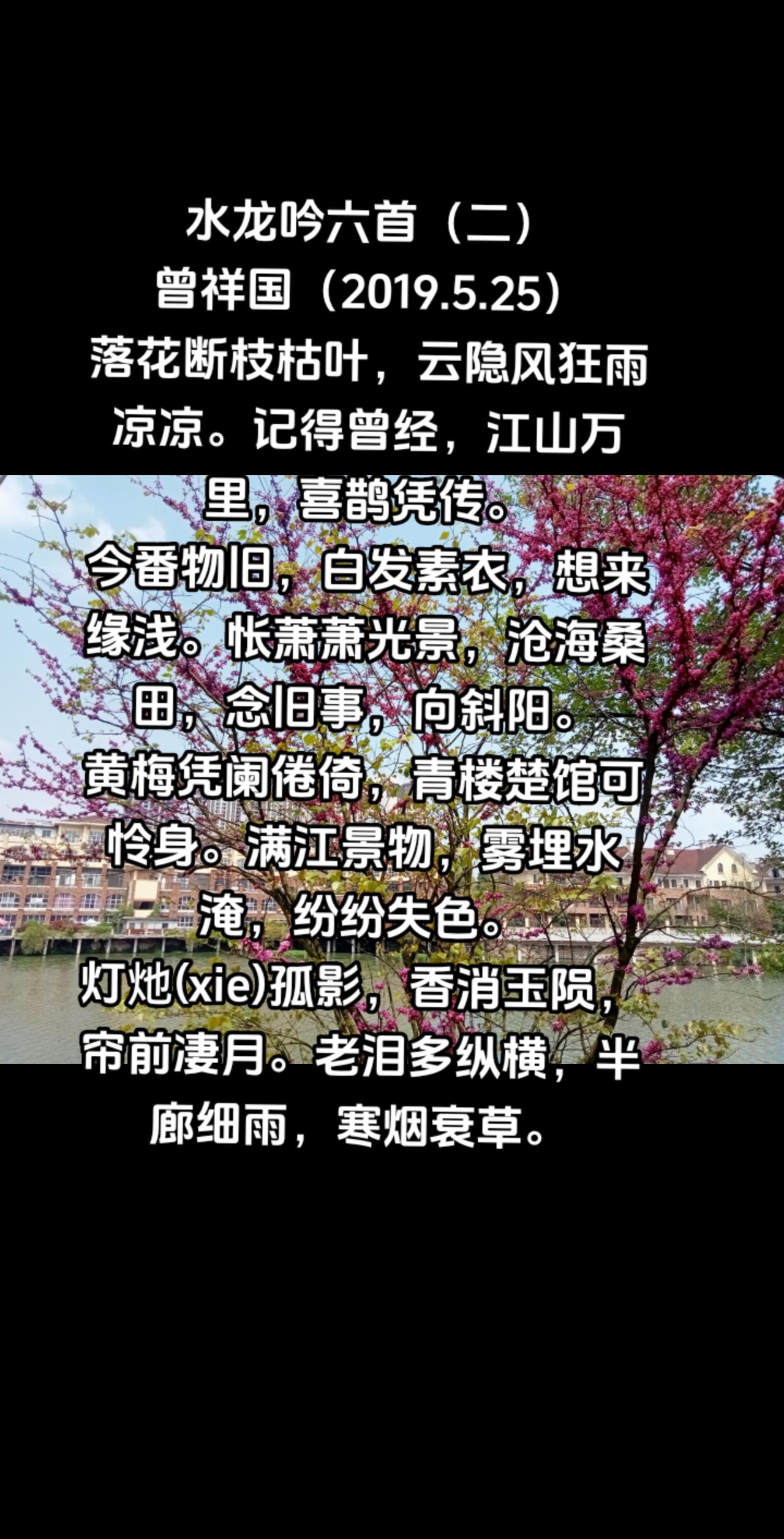 水龙吟六首（二）