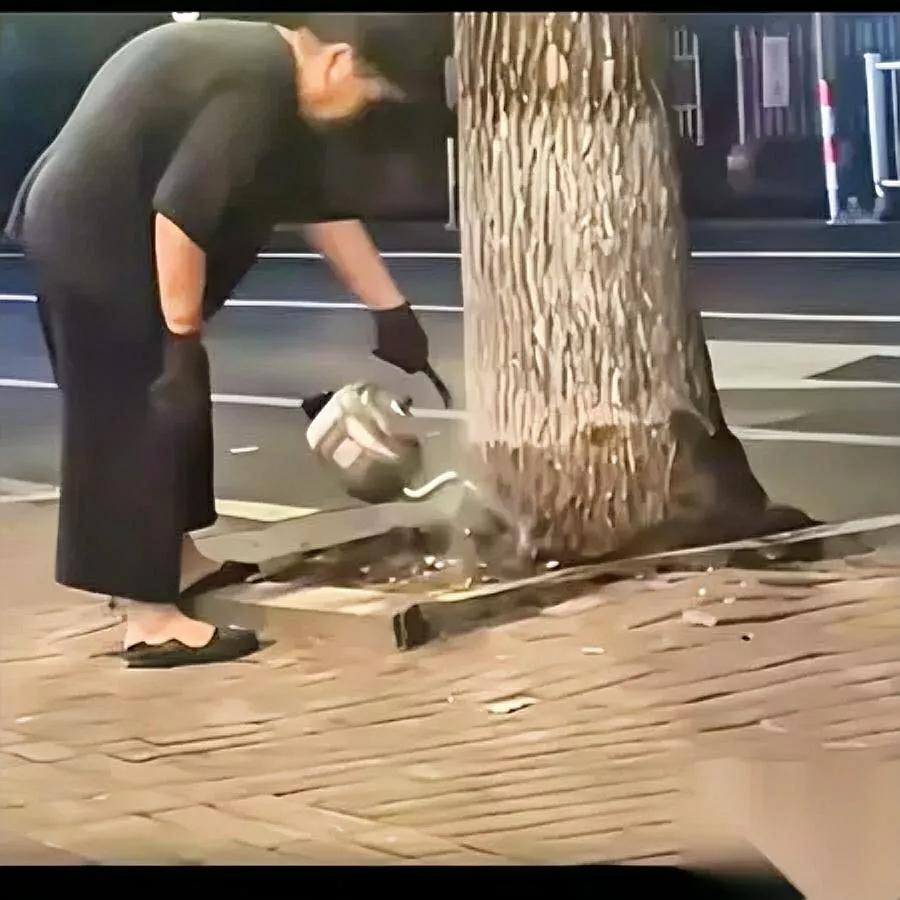 刷到个视频我手都攥紧了——

一个老太连续14天

端着开水壶浇小区的银杏树！