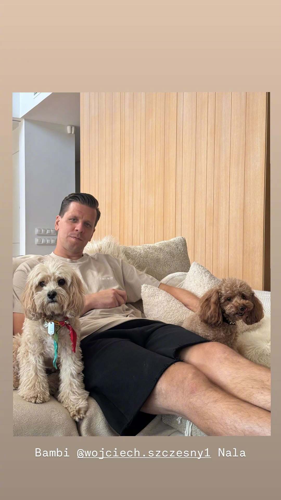 🐶Bambi×3C×Nala👍🏻看上去就长得很像，都是很纯真聪明的样子巴萨
