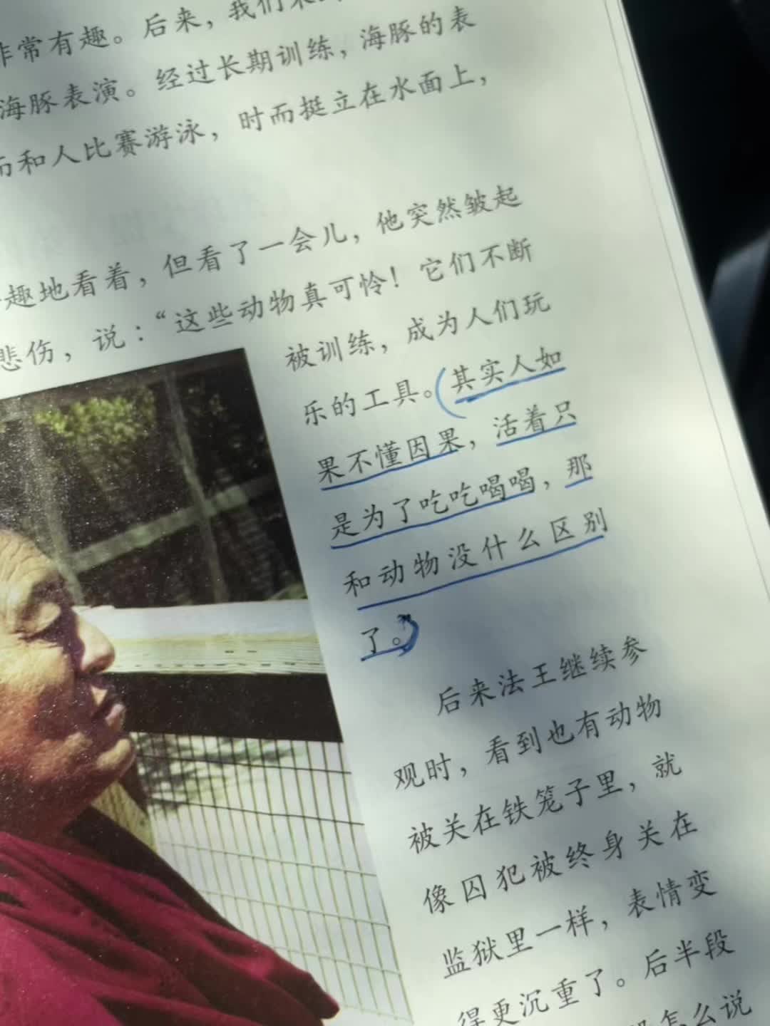 不懂因果  那和动物有什么区别
