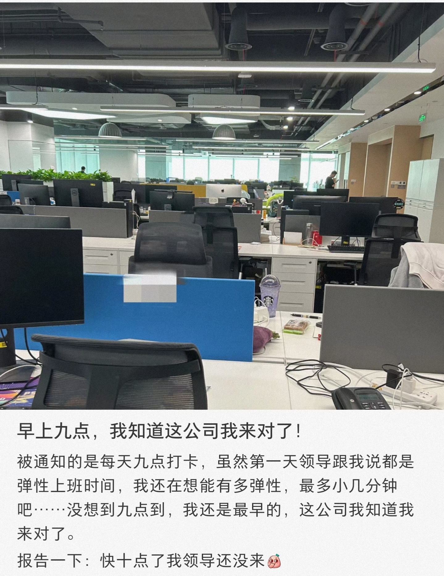 这都是什么神仙工作啊！ ​​​