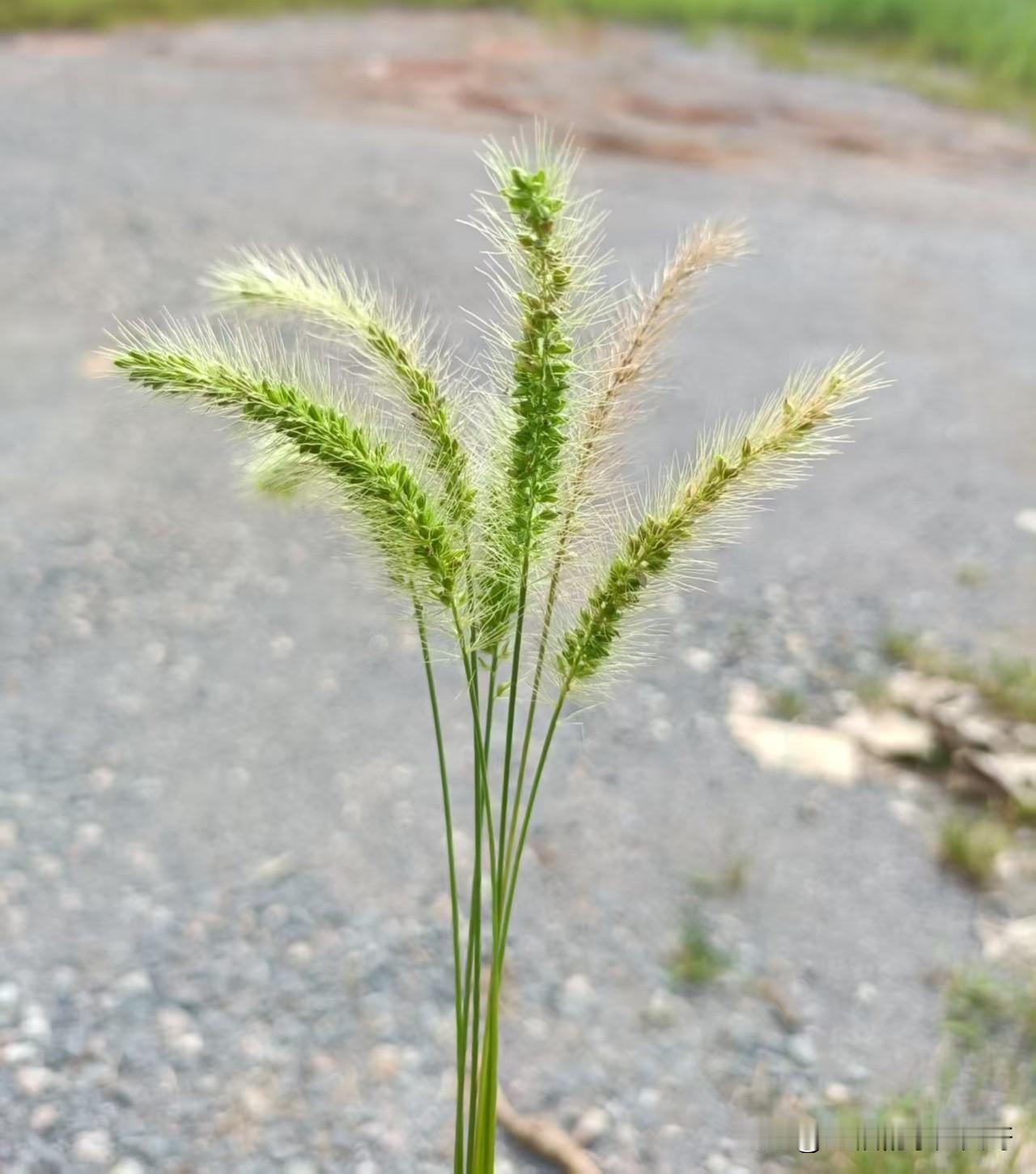 人一定要多做让自己开心快乐的事情。

如果看书能让你快乐，那你就看书，不在乎有没