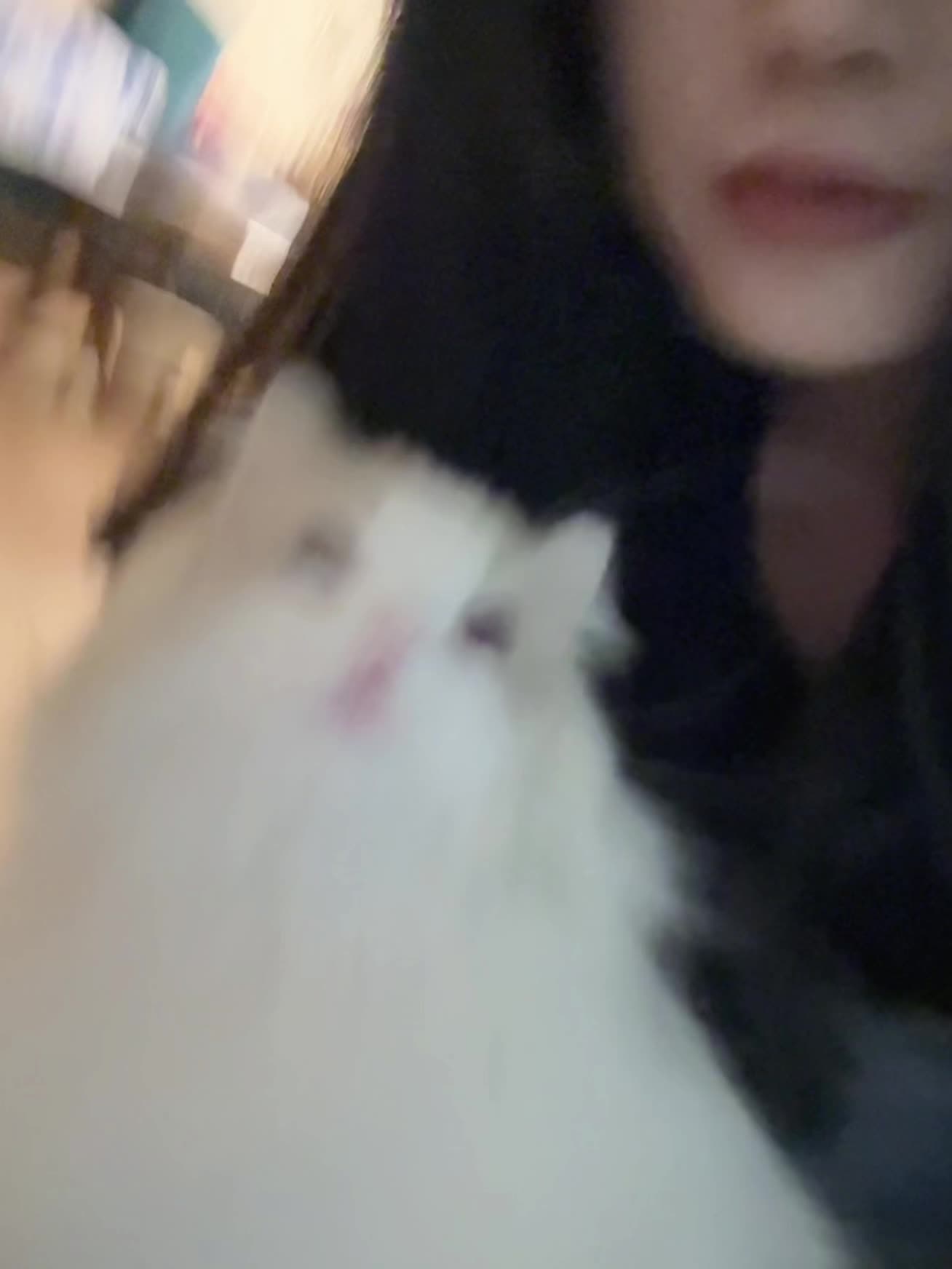 反正结果都那样