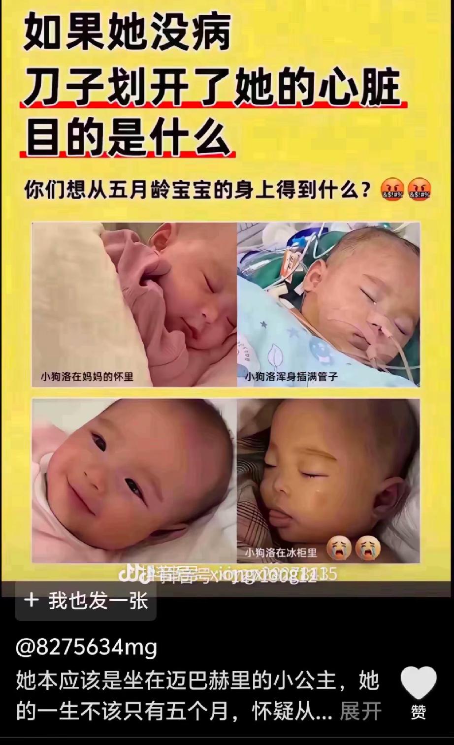 遇到最好的法医，最好的律师，最好父母，奶奶，外婆，唯独没遇到有良知的医生（不求医