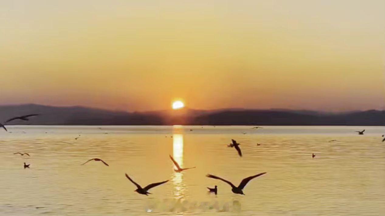 积水成渊，聚沙成塔，只要凝聚起足够数量的那些平凡而微小的善意力量，就能够做成许多