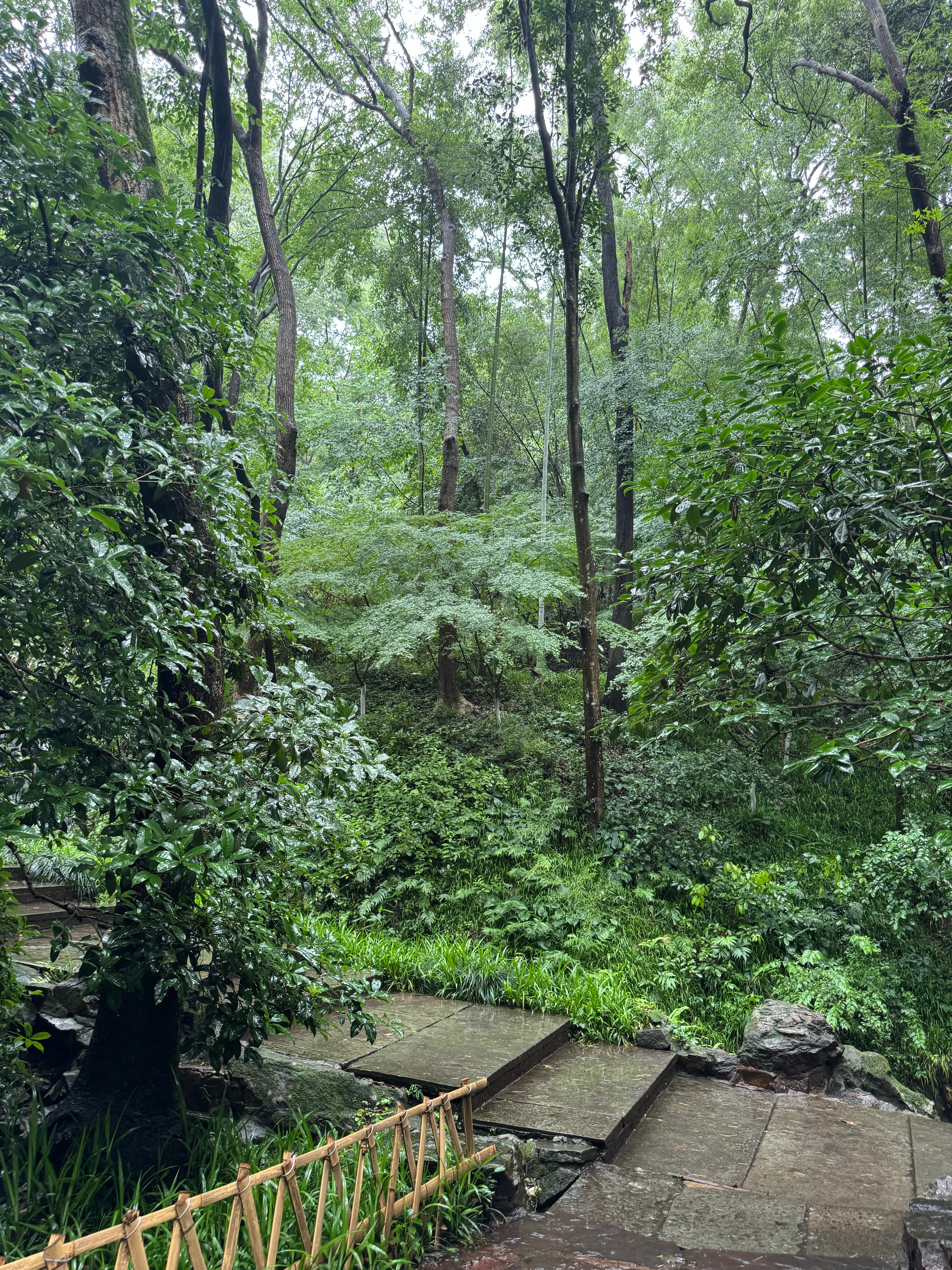 下雨天来真是太合适了  ​​​