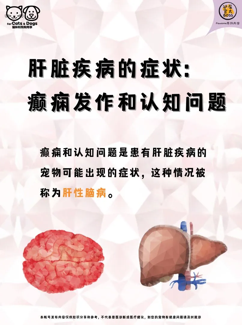 癫痫发作和认知问题