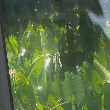 🙏⛰️夜色慢慢落下，世界安静下来。风轻轻吹过，带走白天的疲惫。你不必急着变得更