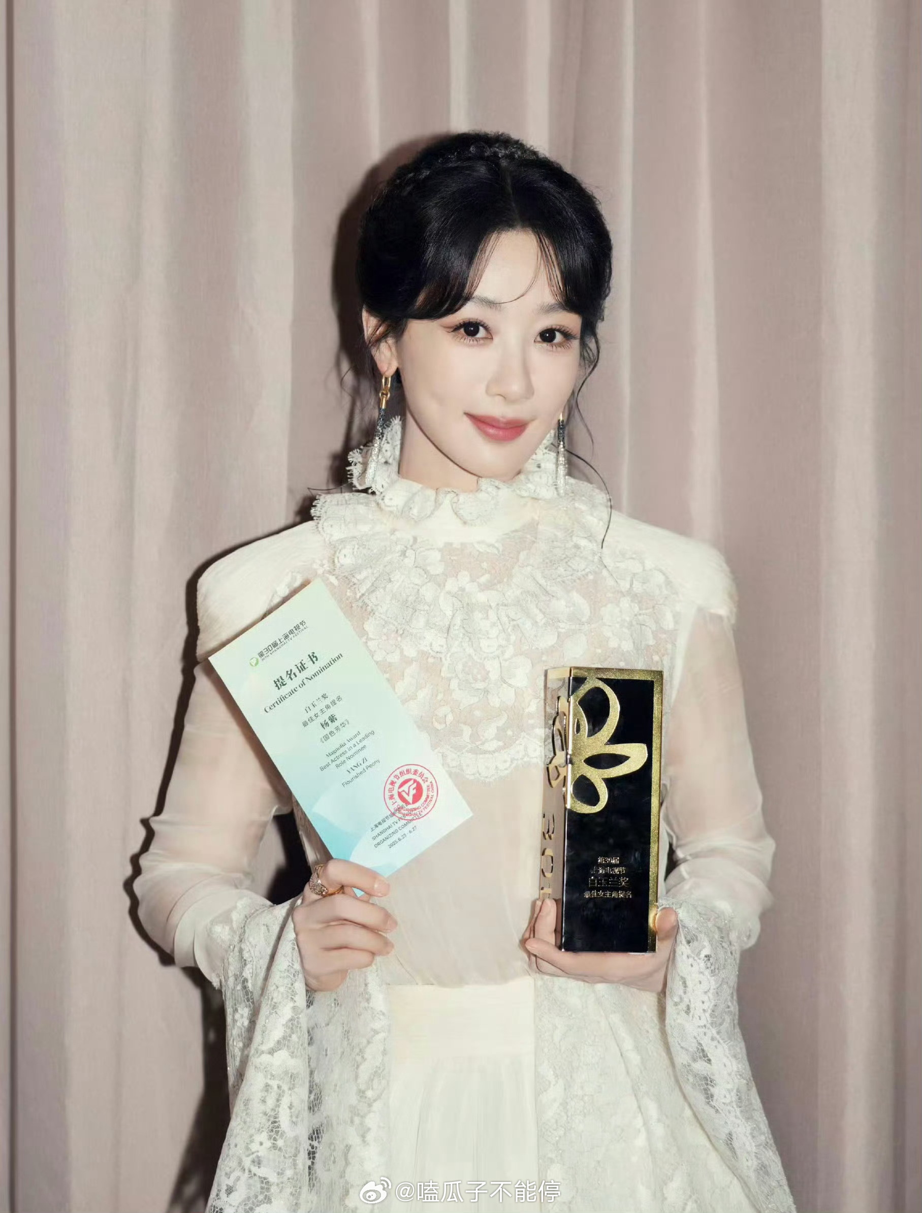 杨紫奖项拿到手软：青海生态文化传播大使；白玉兰海外推广大使；白玉兰视后提名；好优