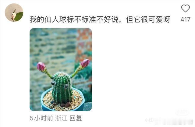 笑死！居然真有东西长得这么标准，网友直呼：看着不像真的 