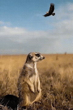团结就是力量