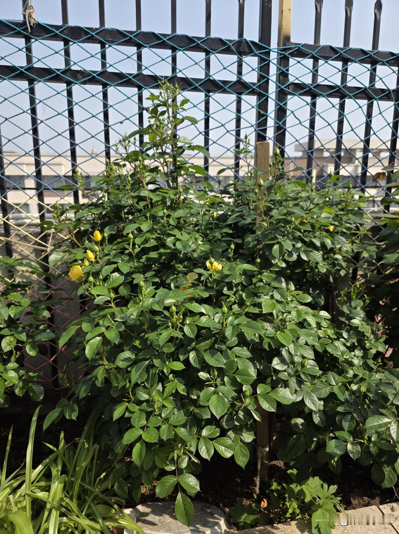 今天凌晨两点，我说“心里挺难受的，失眠了”，她说……

“是不是又想起什么心事，