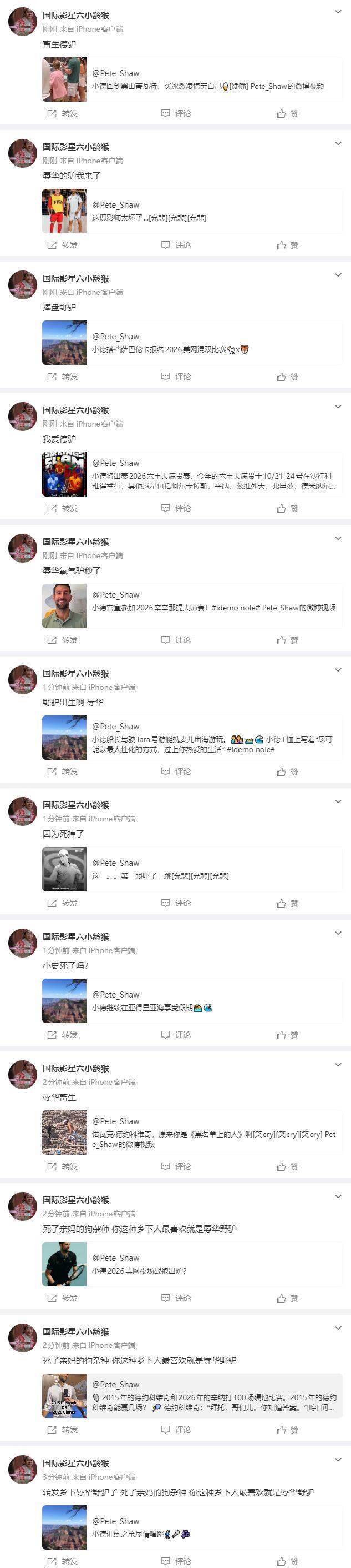 现在的黑子已经这么丧心病狂了吗？不但不停地转发帖子辱骂德约，还发私信来辱骂？