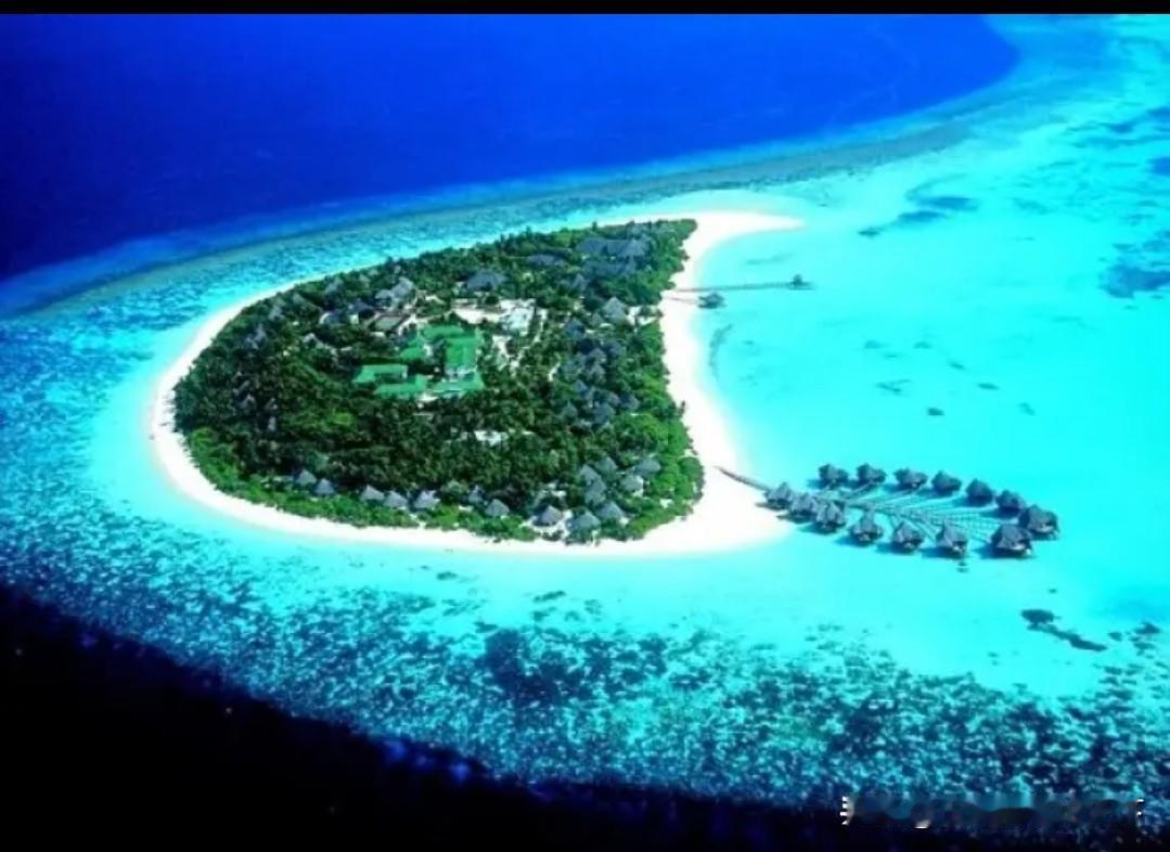 #瑙鲁总统回江门过年泛舟观鸟拍不停#桃李不言，下自成蹊。瑙鲁总统，外曾祖父是广东