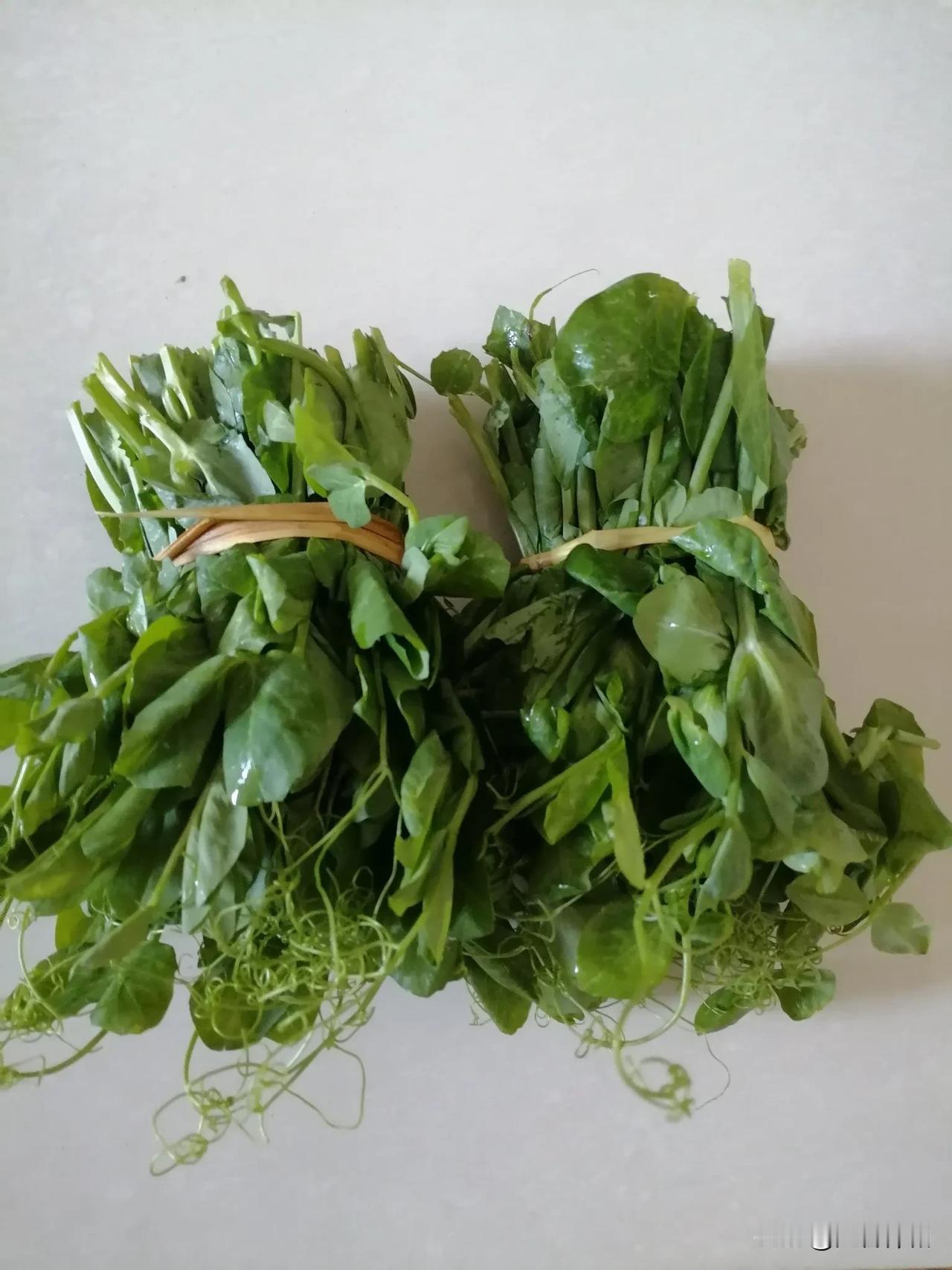 大家知道这个绿叶蔬菜叫什么名字吗？

       今天早上和朋友一起去佛城商都
