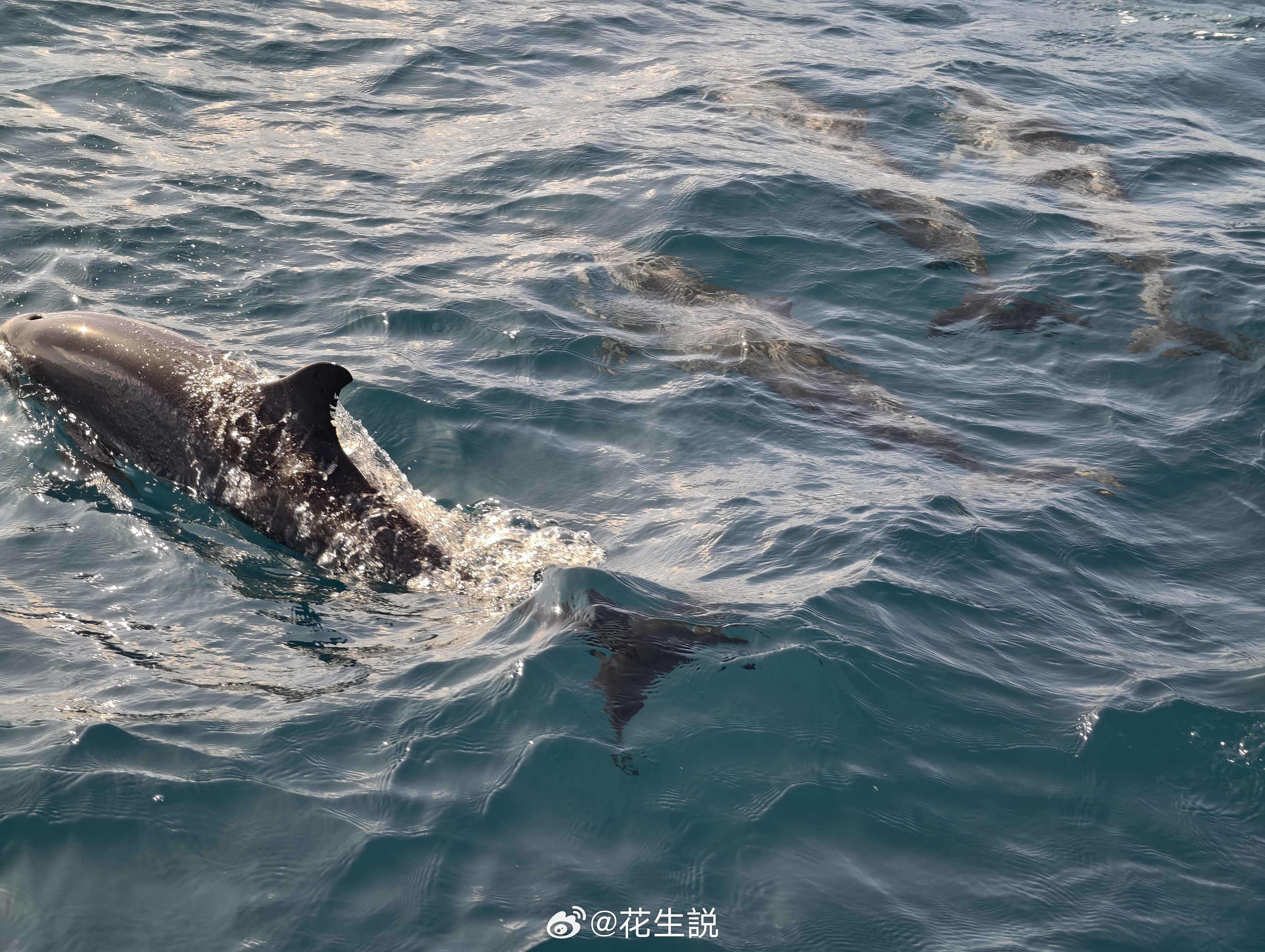 中国这么大，人这么多，互联网这么发达如果你在意，你永远可以发现比你优秀的人，督促