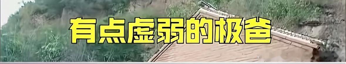 ？？？登登的后期是谁？ [流鼻血] ​​​