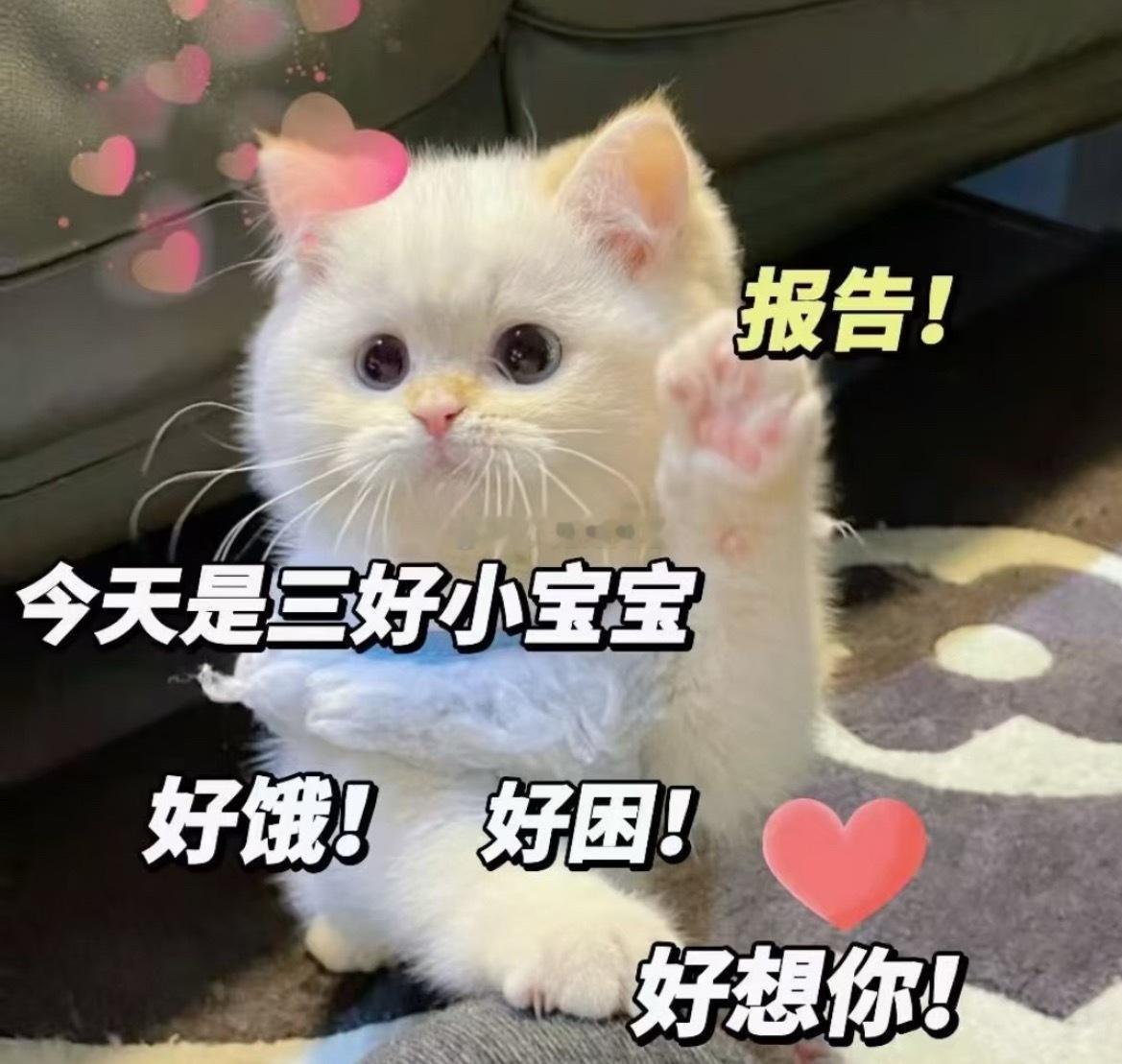 今天试了🐺给我买的唇釉，打视频的时候一直嘟嘟着嘴🐺：嘴怎么啦，是不是肿啦🐰